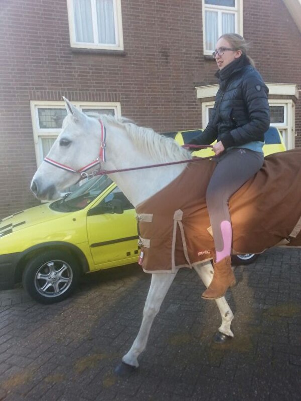 Afbeelding
