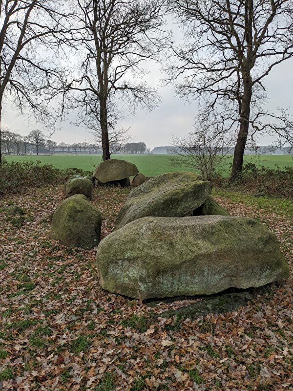 Afbeelding
