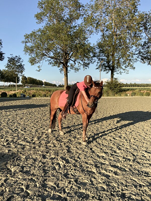Afbeelding