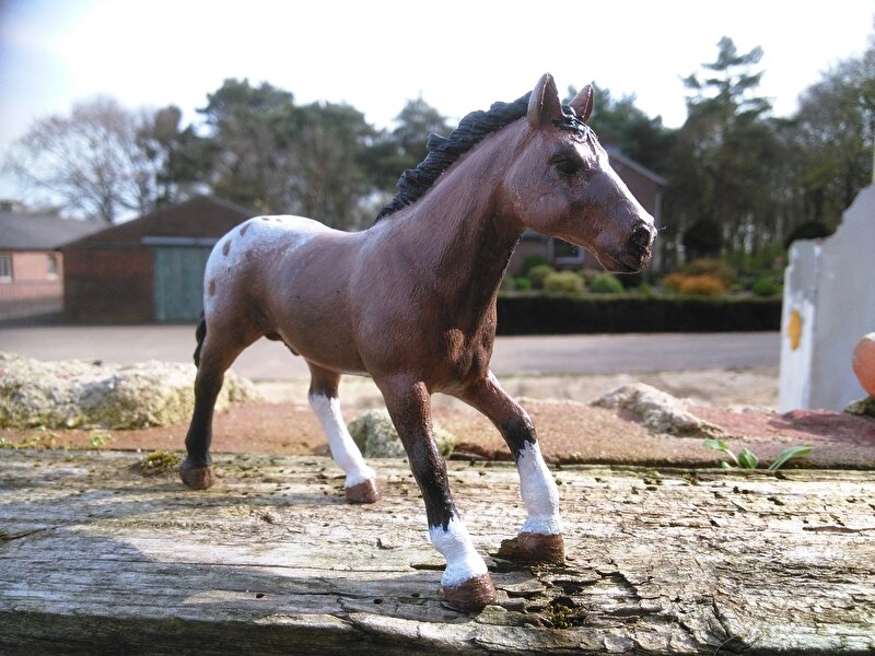 Afbeelding