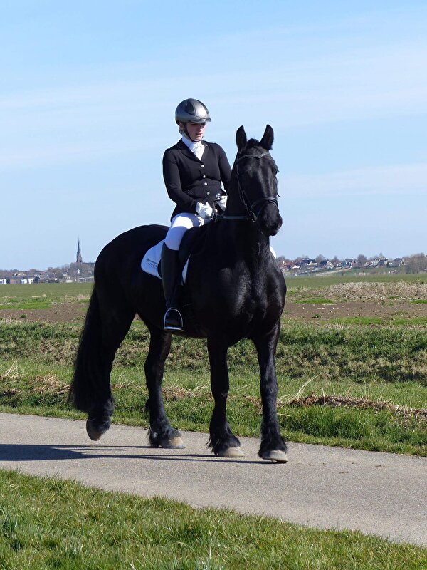 Afbeelding