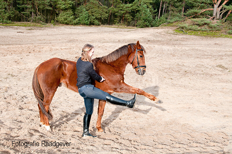 Afbeelding