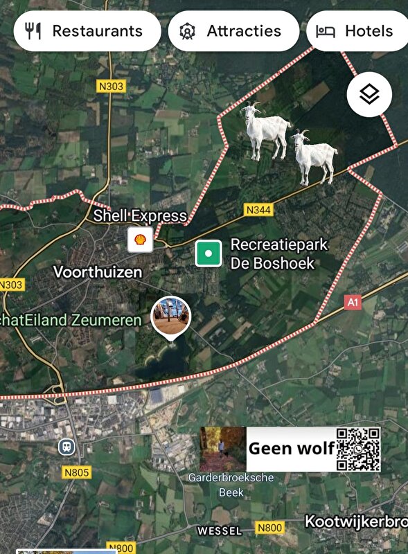 Afbeelding