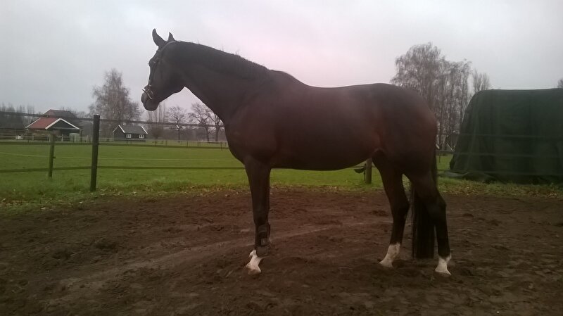 Afbeelding