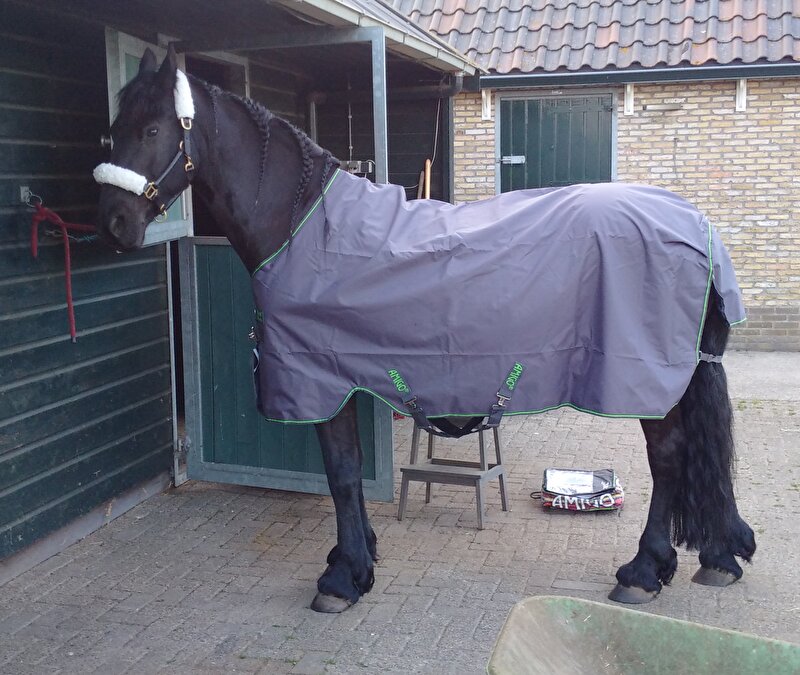 Afbeelding