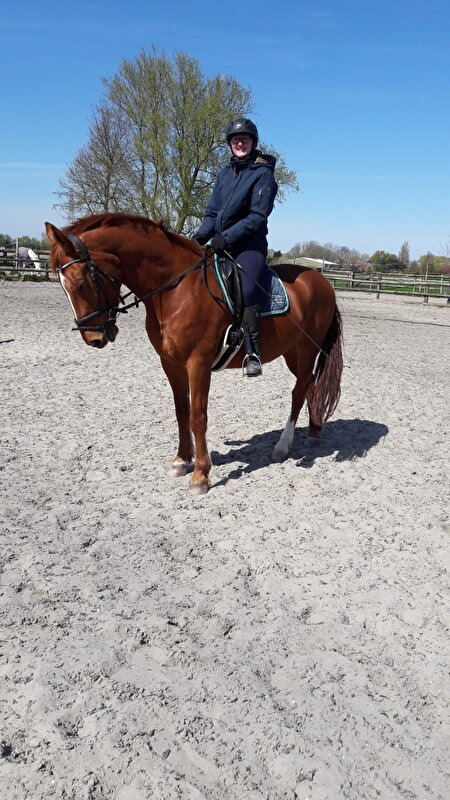 Afbeelding