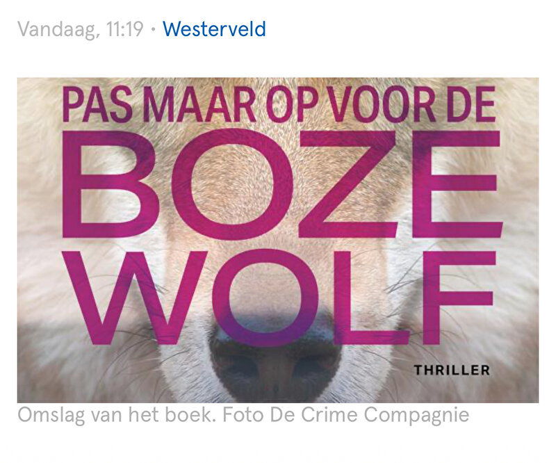 Afbeelding