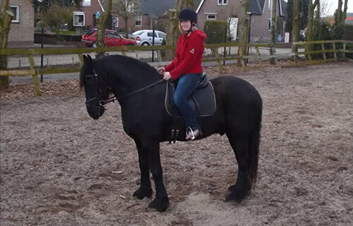 Afbeelding
