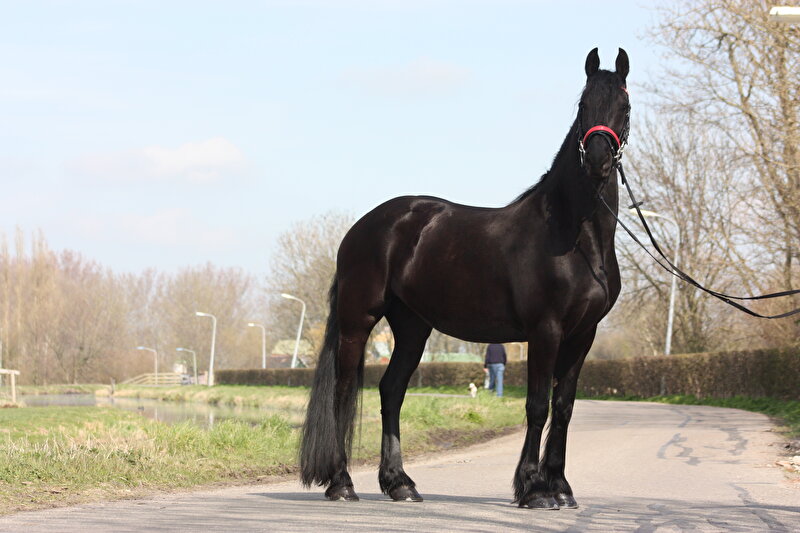 Afbeelding