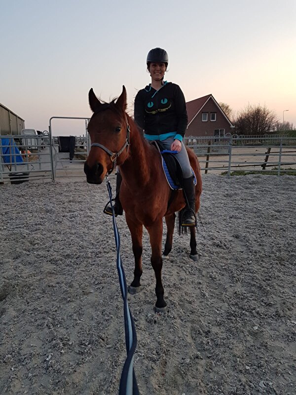 Afbeelding