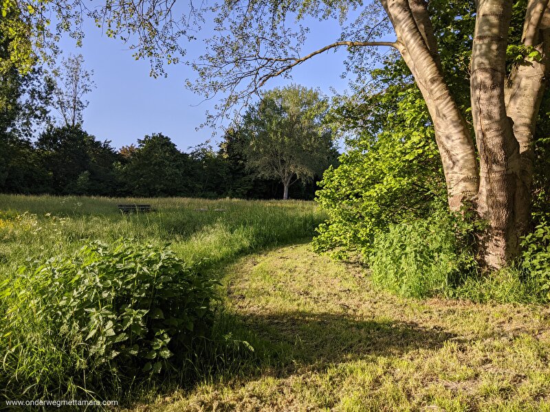 Afbeelding