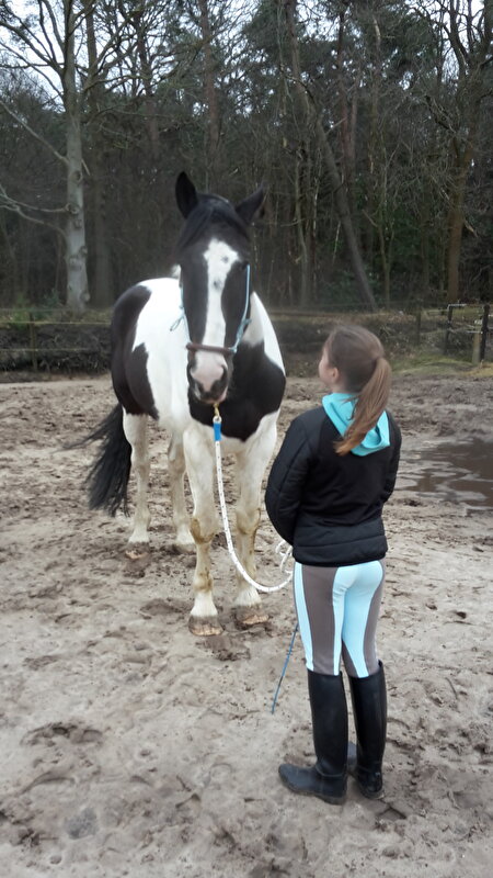 Afbeelding