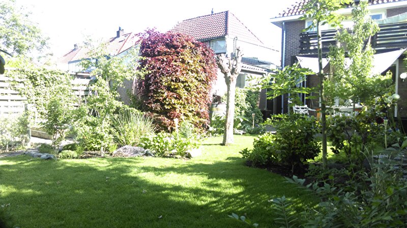 Afbeelding