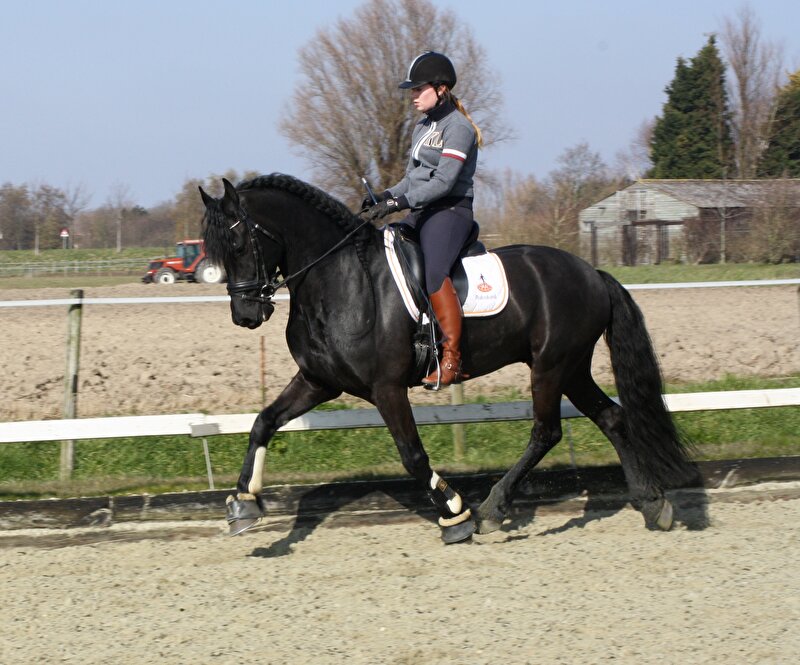 Afbeelding