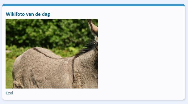 Afbeelding