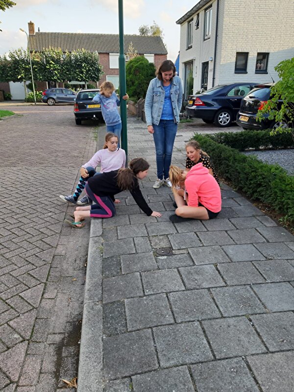 Afbeelding