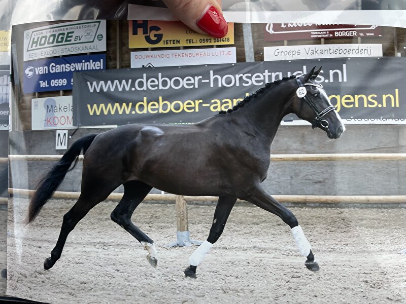 Afbeelding