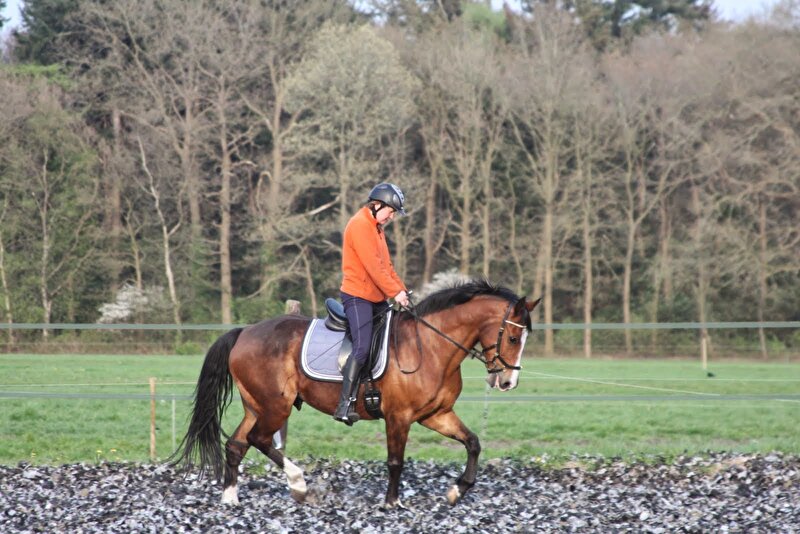 Afbeelding
