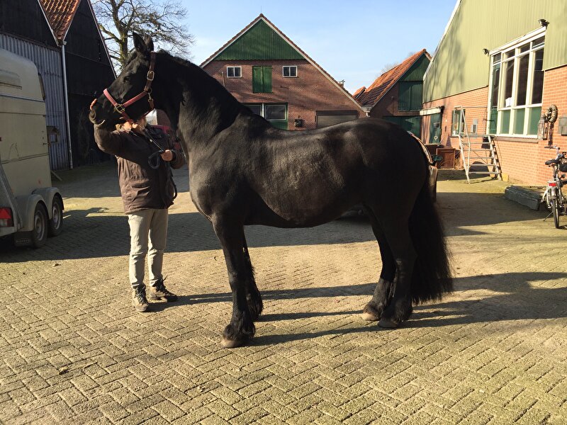 Afbeelding