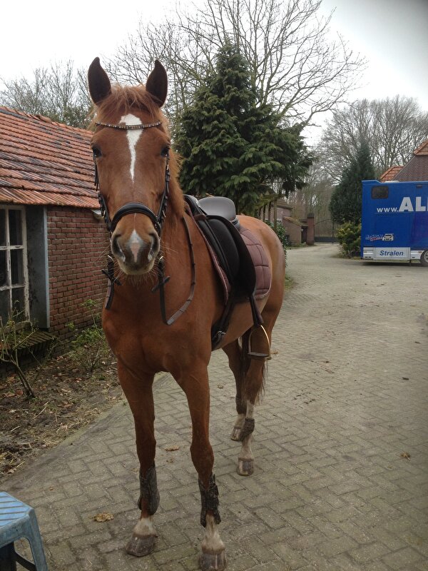 Afbeelding