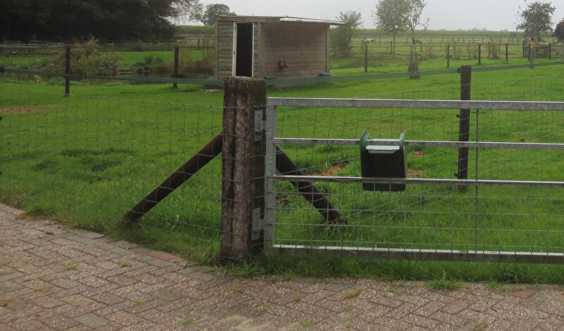 Afbeelding