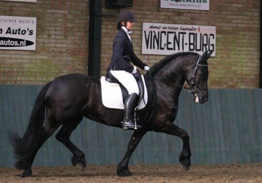 Afbeelding
