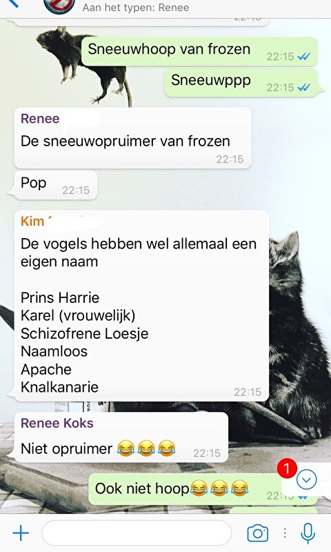 Afbeelding