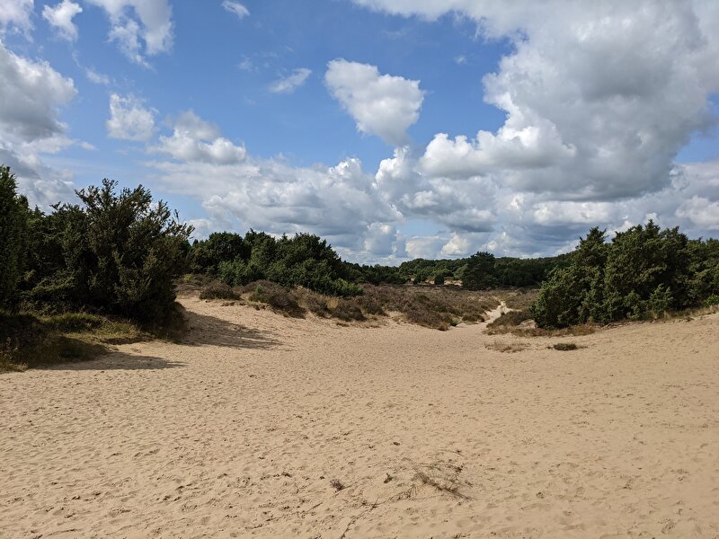 Afbeelding