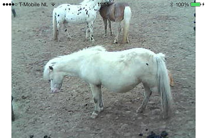 Afbeelding
