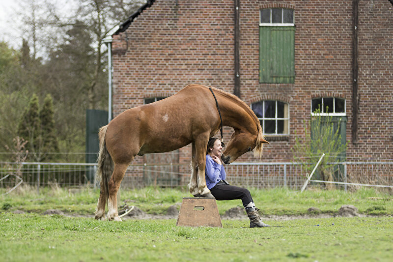 Afbeelding