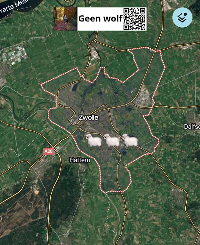 Afbeelding