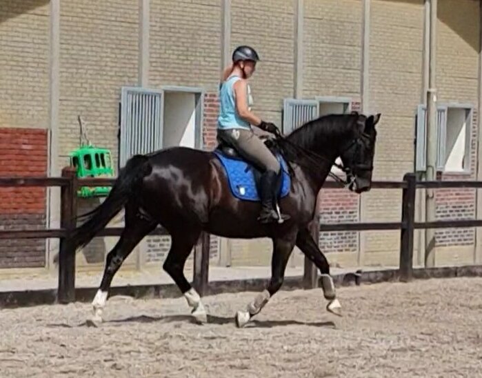 Afbeelding