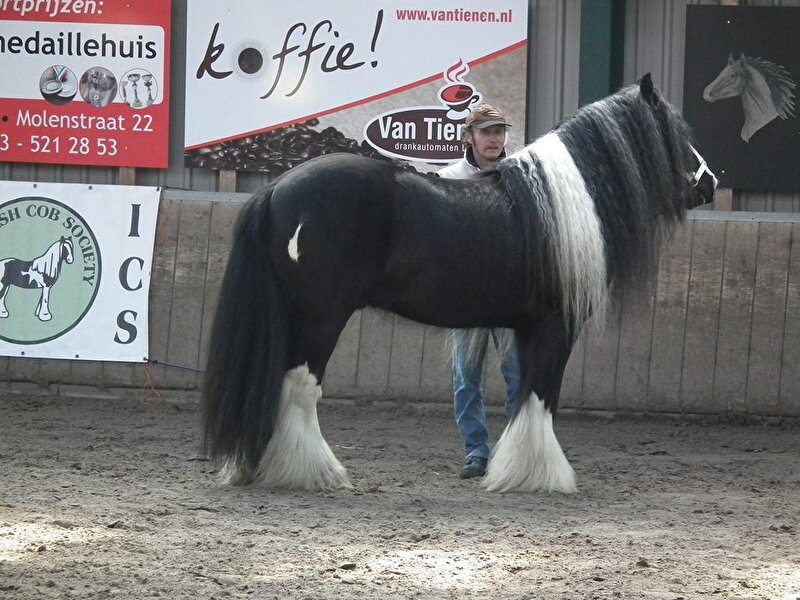 Afbeelding