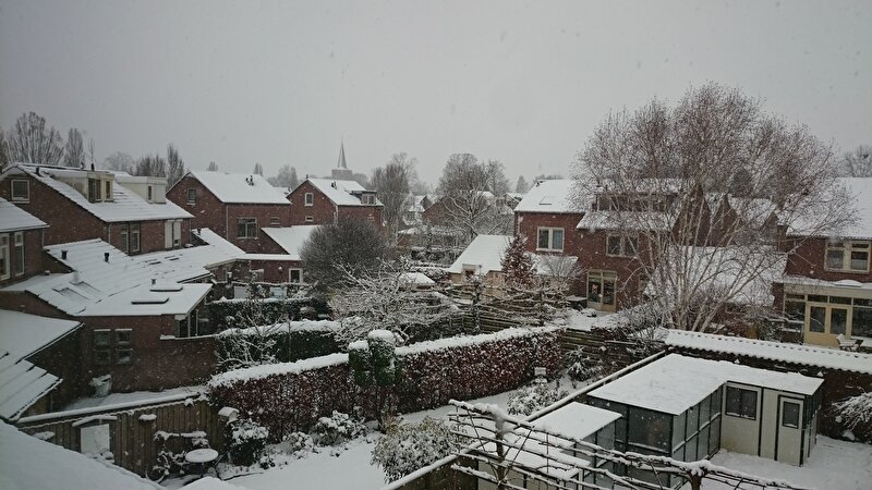 Afbeelding