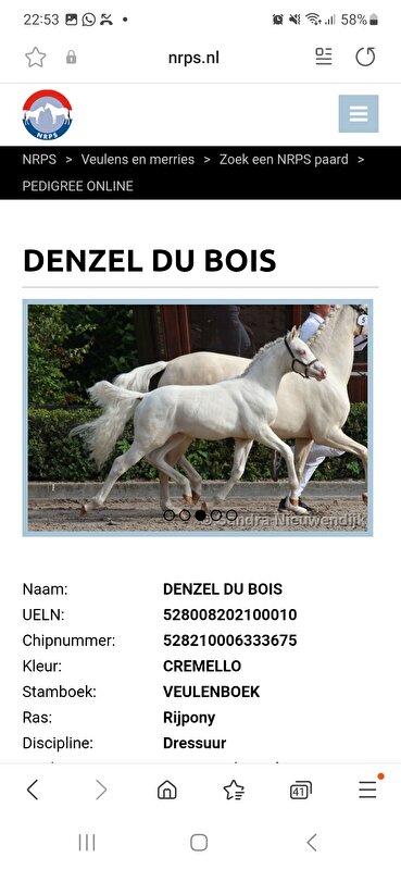 Afbeelding