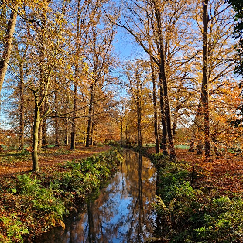 Afbeelding