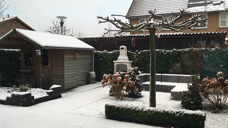Afbeelding
