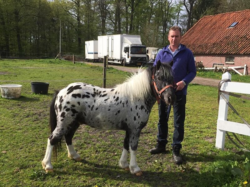 Afbeelding