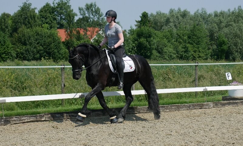 Afbeelding