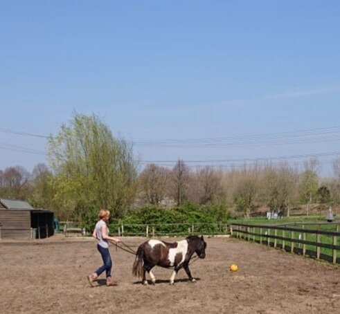 Afbeelding