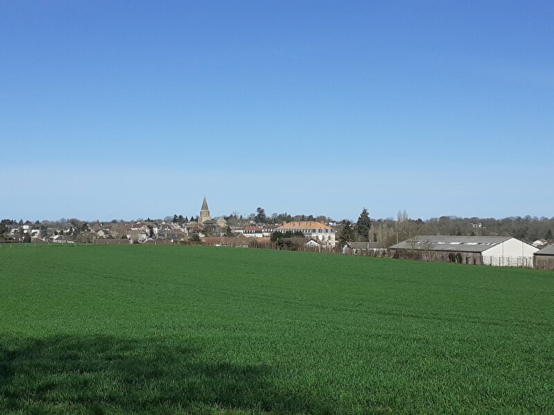 Afbeelding