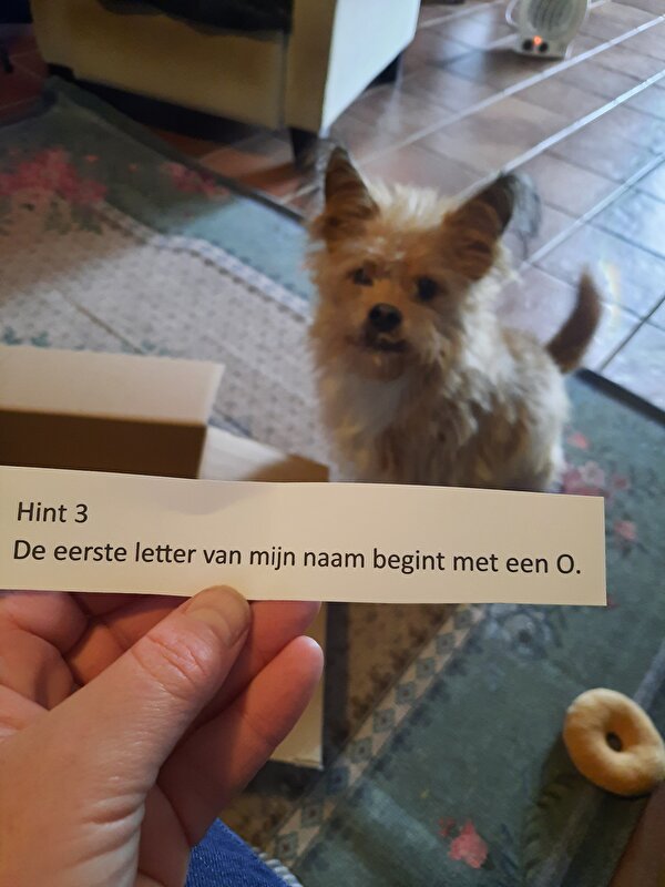 Afbeelding