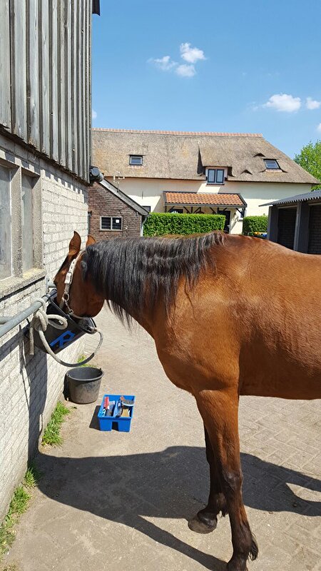 Afbeelding