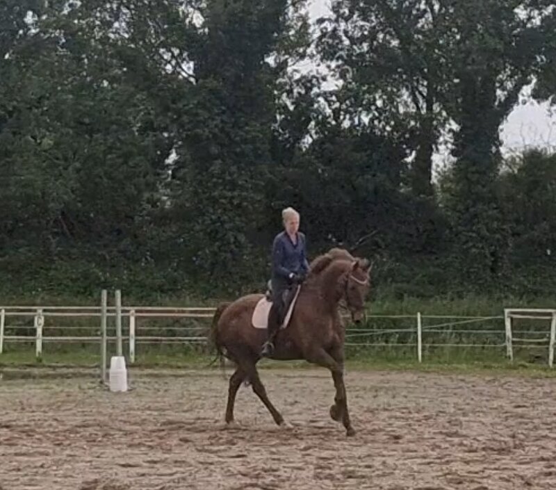 Afbeelding