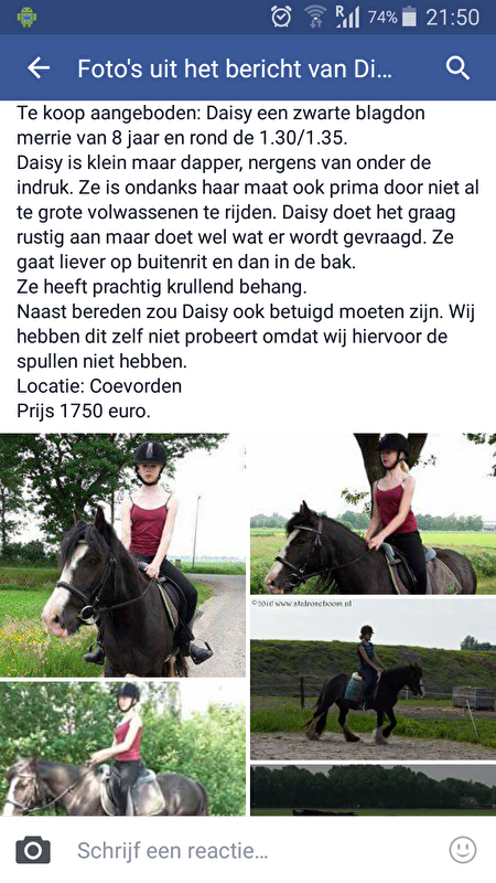 Afbeelding