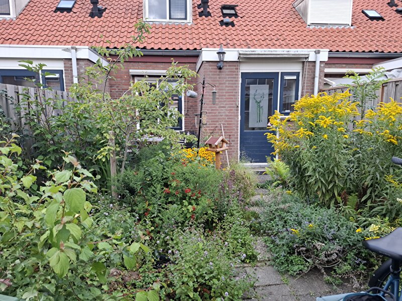 Afbeelding