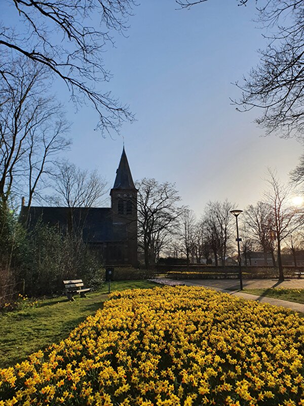 Afbeelding