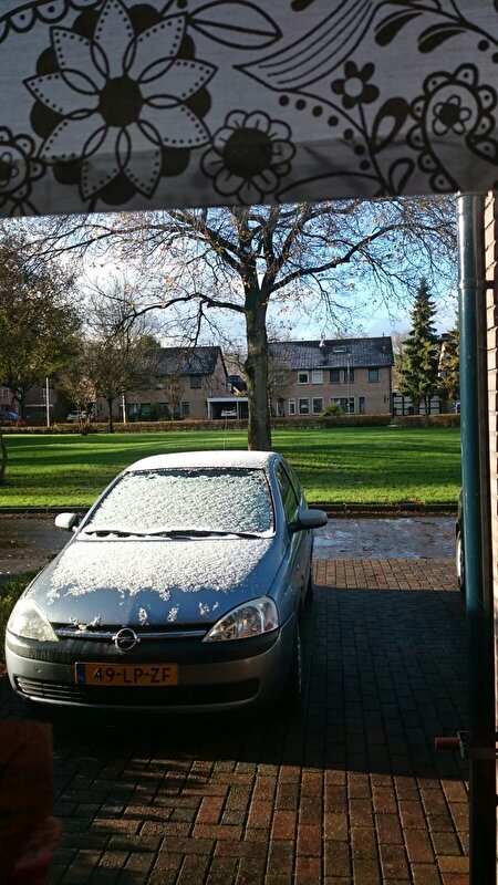 Afbeelding