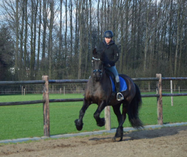 Afbeelding