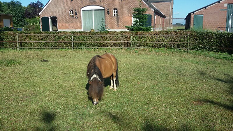 Afbeelding